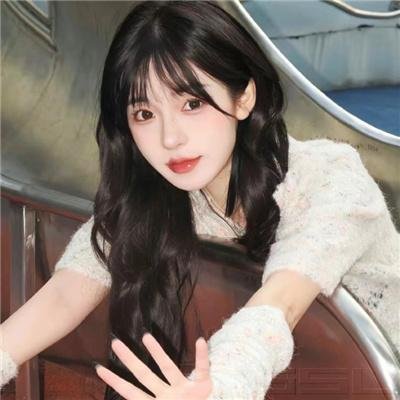 森林里的熊先生冬眠中